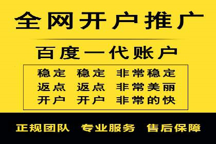 sem代运营机构经典案例：提升广告投放效果